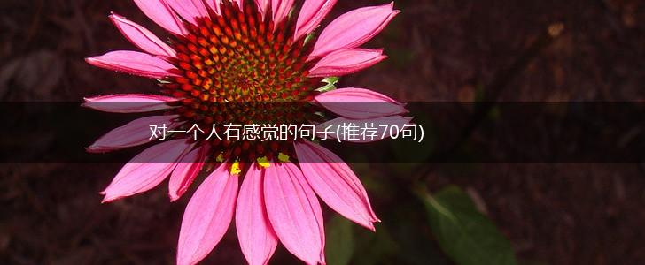 对一个人有感觉的句子(推荐70句),第1张