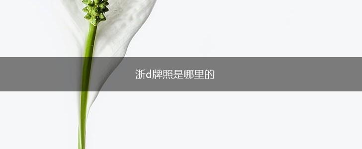 浙d牌照是哪里的,第1张