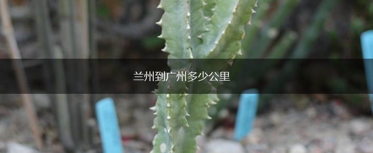 兰州到广州多少公里,第1张
