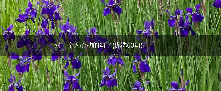 对一个人心动的句子(优选60句),第1张
