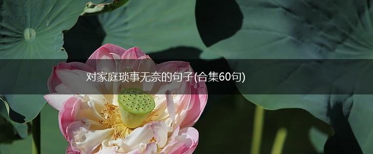 对家庭琐事无奈的句子(合集60句),第1张