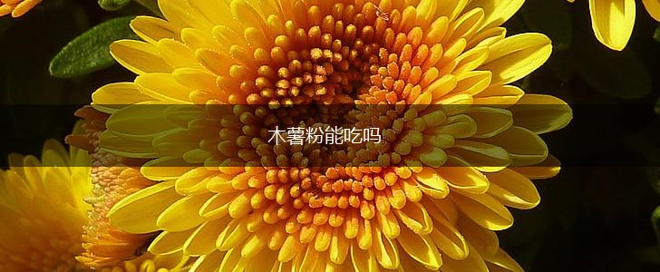 木薯粉能吃吗,第1张