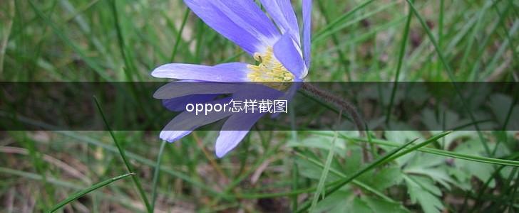 oppor怎样截图,第1张