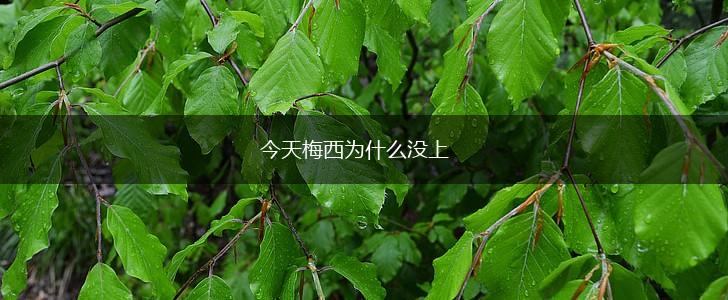 今天梅西为什么没上,第1张