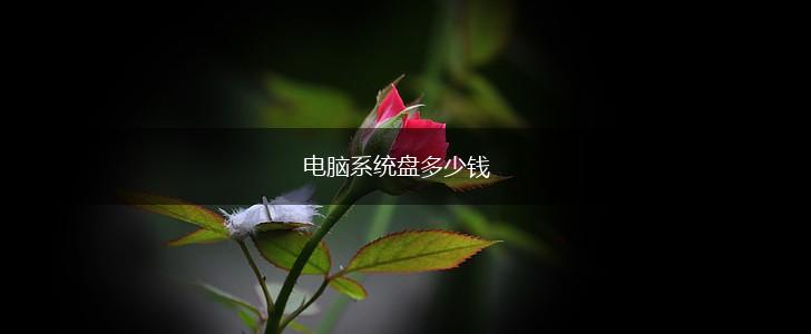 电脑系统盘多少钱,第1张