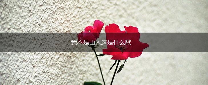 我不是山人这是什么歌,第1张
