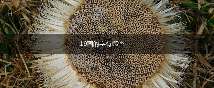 19画的字有哪些,第1张