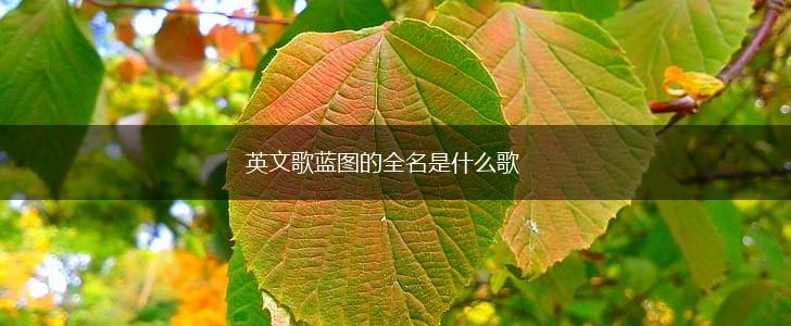 英文歌蓝图的全名是什么歌,第1张