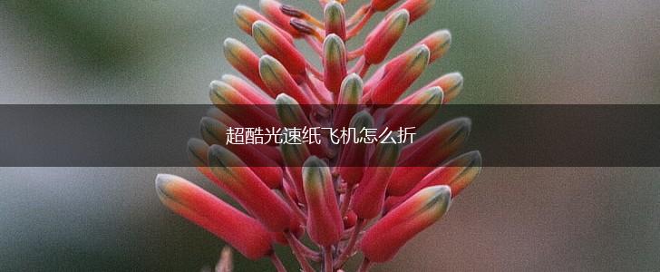 超酷光速纸飞机怎么折,第1张