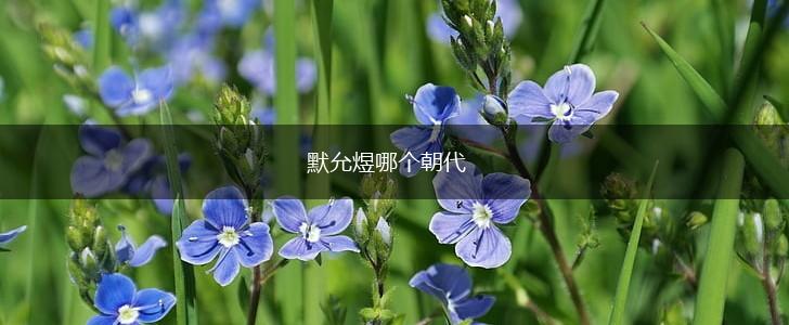 默允煜哪个朝代,第1张