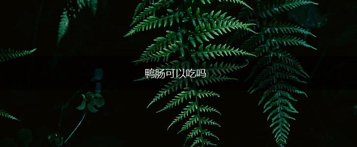 鸭肠可以吃吗,第1张