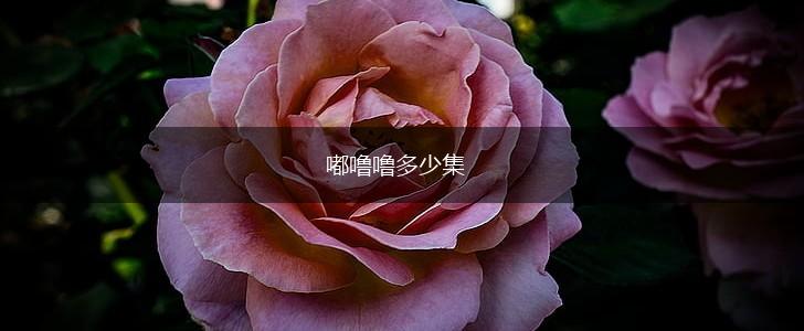 嘟噜噜多少集,第1张