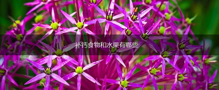 补钙食物和水果有哪些,第1张