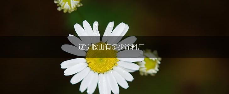 辽宁胺山有多少涂料厂,第1张