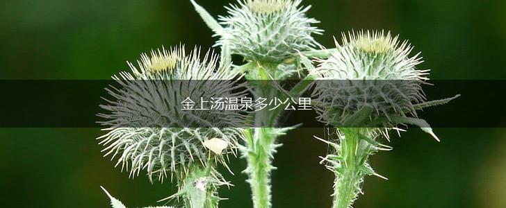 金上汤温泉多少公里,第1张