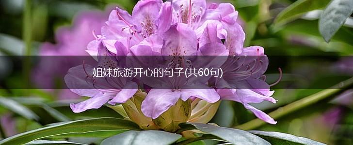 姐妹旅游开心的句子(共60句),第1张