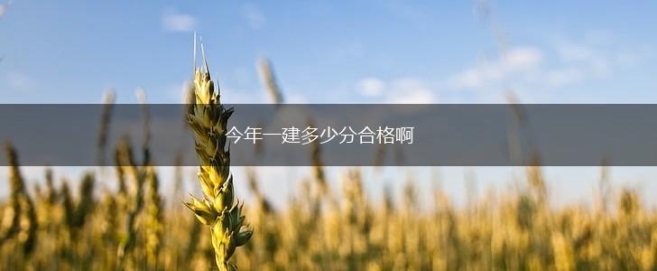 今年一建多少分合格啊,第1张