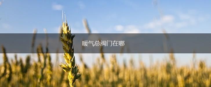 暖气总阀门在哪,第1张