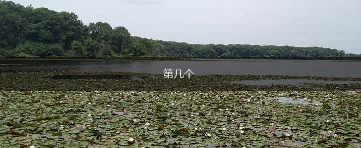第几个,第1张