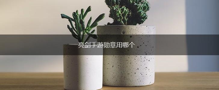 亮剑手游勋章用哪个,第1张