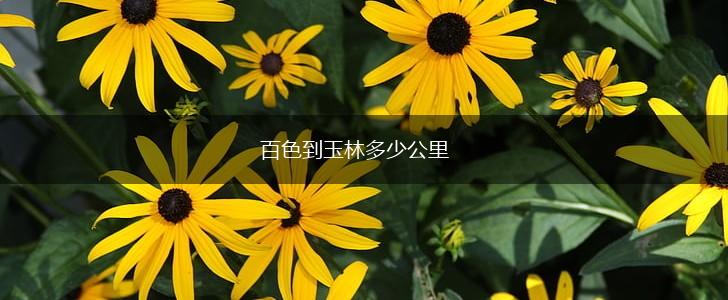 百色到玉林多少公里,第1张