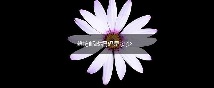 潍坊邮政编码是多少,第1张