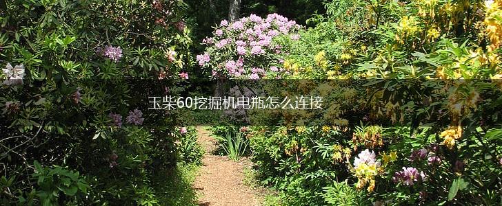 玉柴60挖掘机电瓶怎么连接,第1张