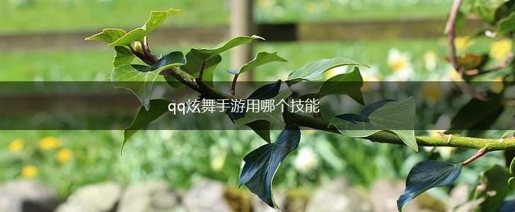 qq炫舞手游用哪个技能,第1张