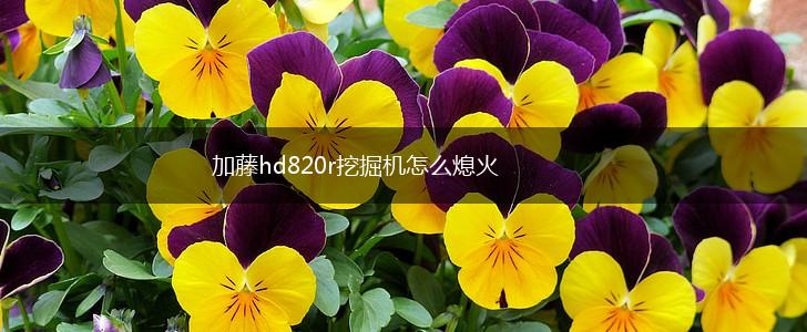 加藤hd820r挖掘机怎么熄火,第1张