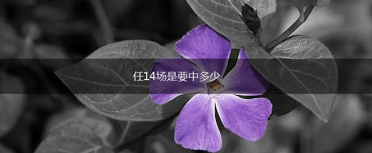 任14场是要中多少,第1张