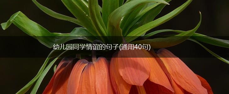 幼儿园同学情谊的句子(通用40句),第1张