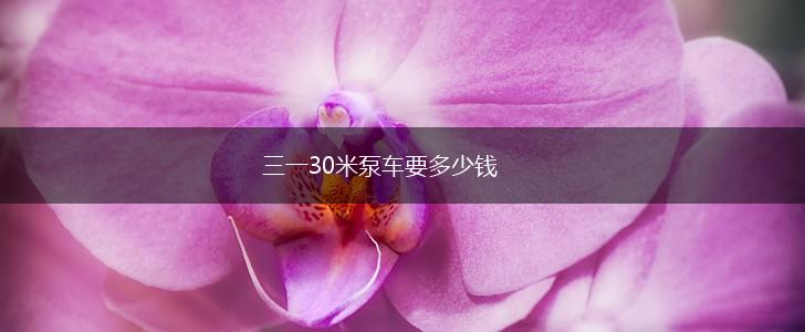 三一30米泵车要多少钱,第1张