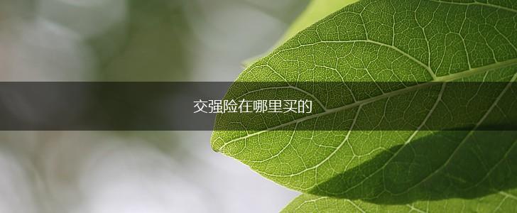 交强险在哪里买的,第1张