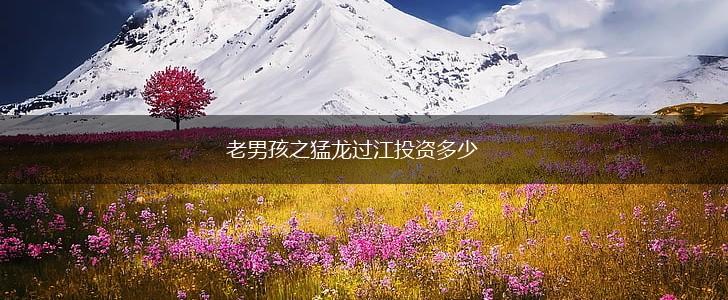 老男孩之猛龙过江投资多少,第1张
