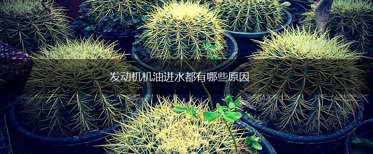 发动机机油进水都有哪些原因,第1张