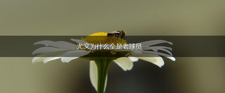 尤文为什么全是老球员,第1张