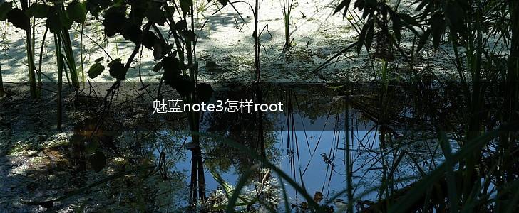 魅蓝note3怎样root,第1张