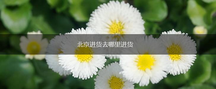 北京进货去哪里进货,第1张