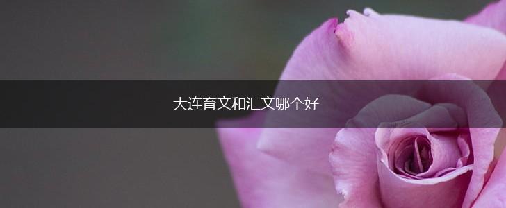 大连育文和汇文哪个好,第1张
