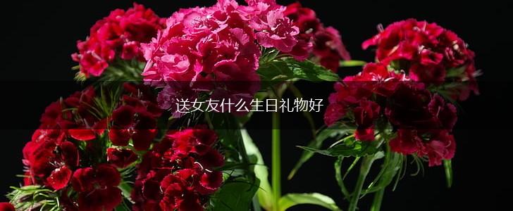 送女友什么生日礼物好,第1张