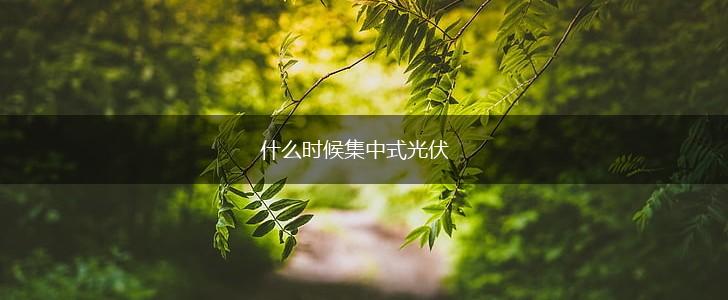 什么时候集中式光伏,第1张