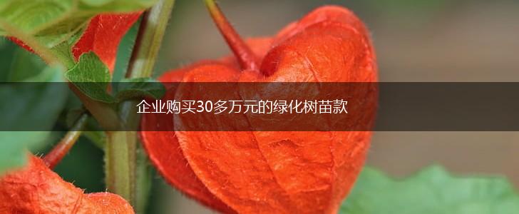 企业购买30多万元的绿化树苗款,第1张