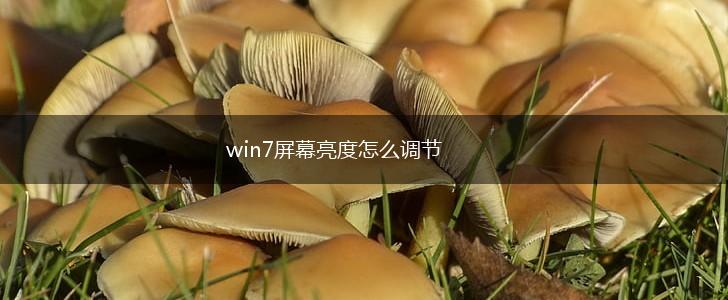 win7屏幕亮度怎么调节,第1张