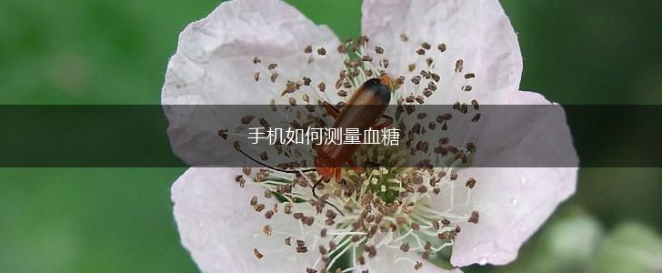 手机如何测量血糖,第1张