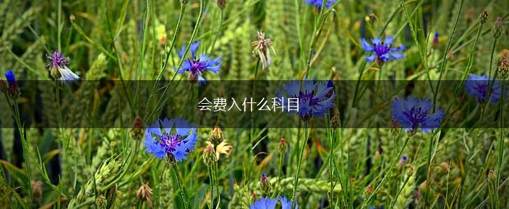 会费入什么科目,第1张