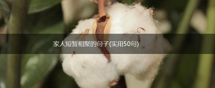 家人短暂相聚的句子(实用50句),第1张