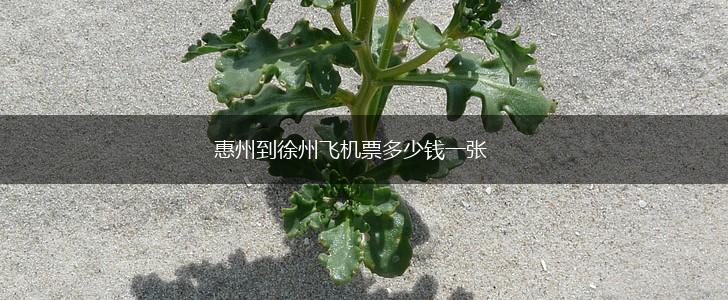 惠州到徐州飞机票多少钱一张,第1张