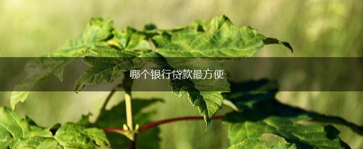 哪个银行贷款最方便,第1张
