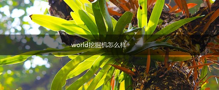world挖掘机怎么样,第1张