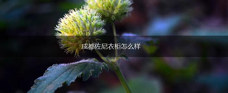 成都佐尼衣柜怎么样,第1张